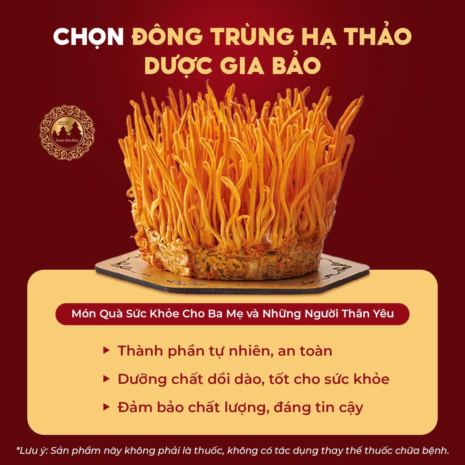 dong trung ha thao nuoi cay co tot khong