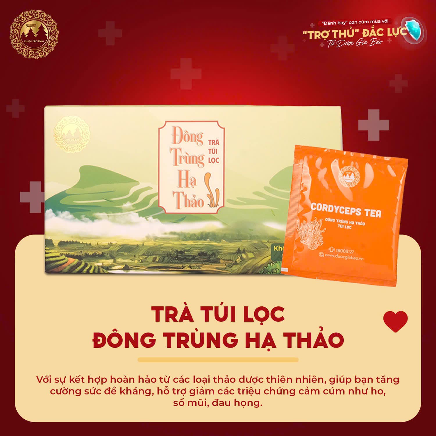 uong tra tui loc dong trung ha thao