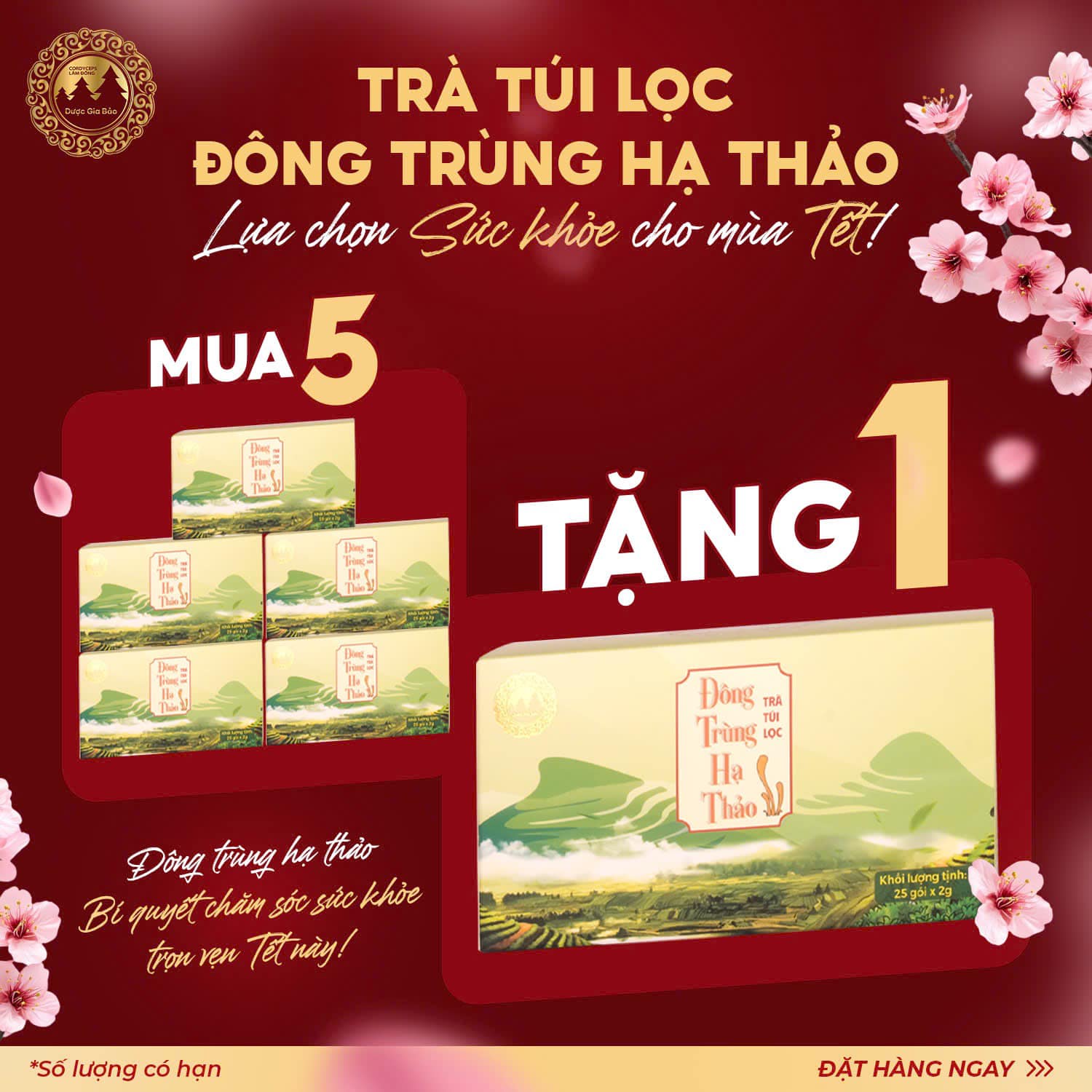 tung bung don Tet 2025 Duoc Gia Bao