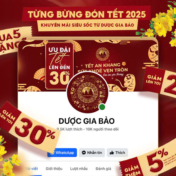 tung bung don Tet 2025 Duoc Gia Bao
