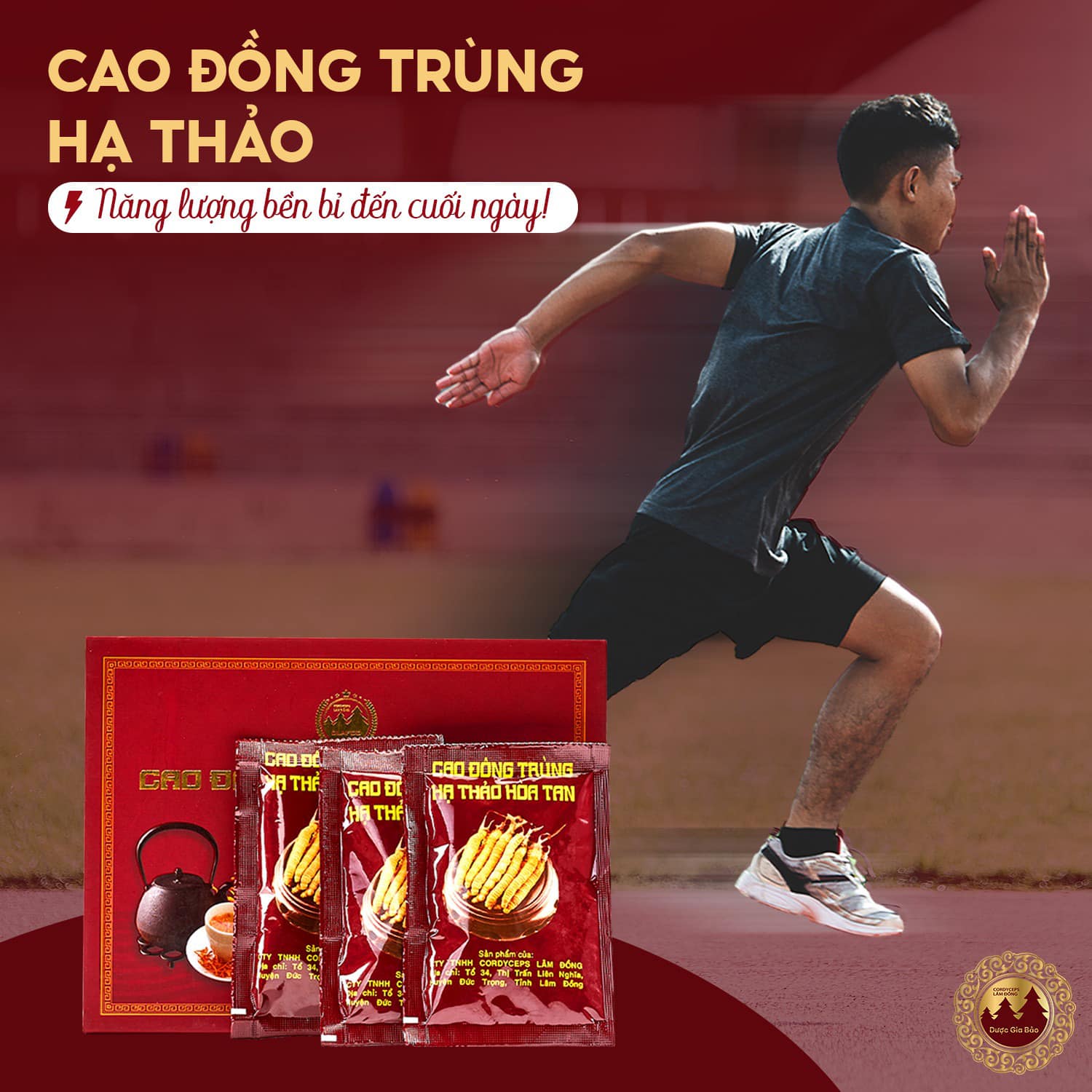 dong trung ha thao duoc cac gymer