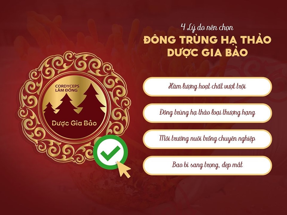 Vien nang Dong trung ha thao Duoc Gia Bao