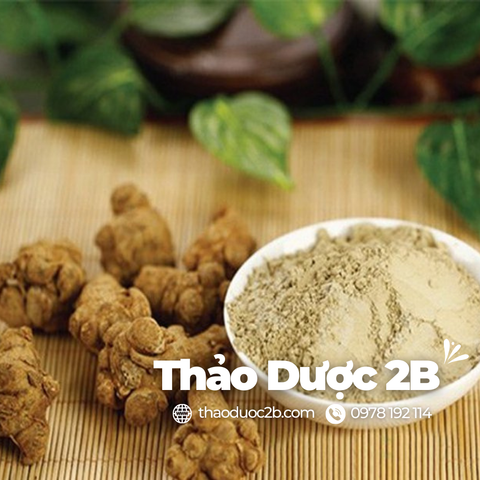 Công Dụng Tam Thất: Không Thua Kém Gì Nhân Sâm - Thảo Dược 2B