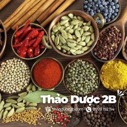 Top 5 Địa Chỉ Bán Thảo Dược Và Thuốc Đông Y Uy Tín Nhất Hiện Nay