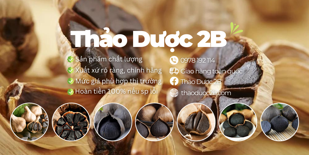 tỏi đen thảo dược 2b