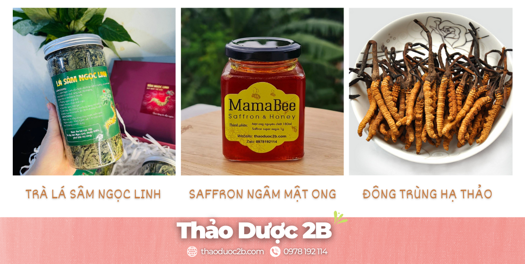 thảo dược 2b