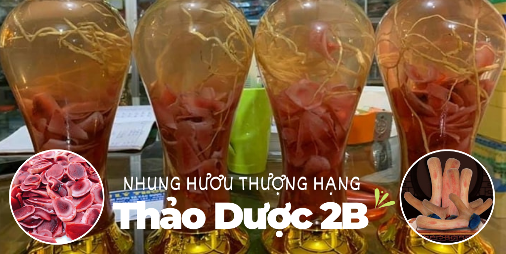 nhung-huou-thao-duoc-2b