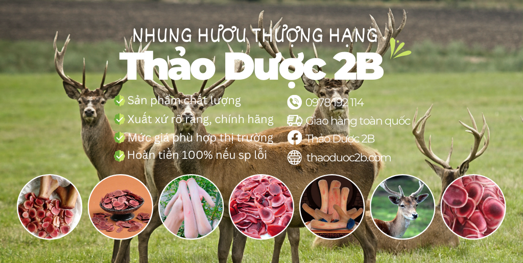 nhung-huou-thao-duoc-2b