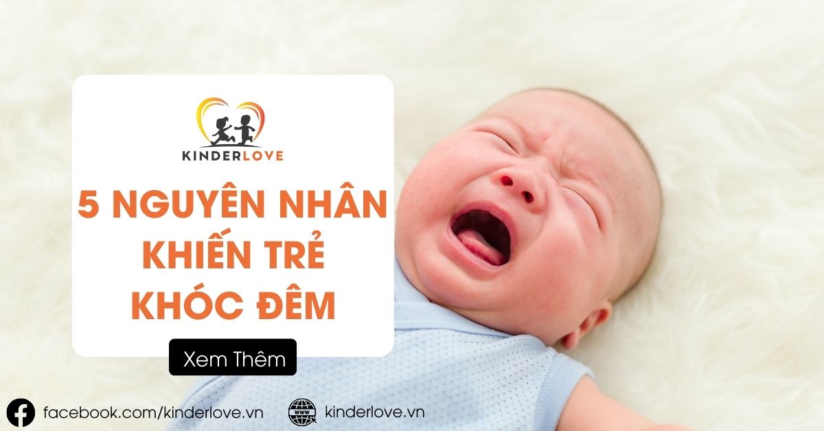 5 Nguyên Nhân Khiến Trẻ Khóc Đêm & Giải Pháp Dành Cho Ba Mẹ