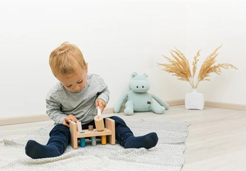 Thuê Đồ Chơi Giáo Dục Tại Hà Nội: Đồ Chơi Giúp Bé Học Hỏi Và Vui Chơi