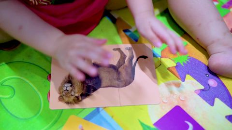 Thuê Đồ Chơi Trẻ Em Hà Nội: Đồ Chơi Giáo Dục Cho Trẻ 6 Tháng Tuổi