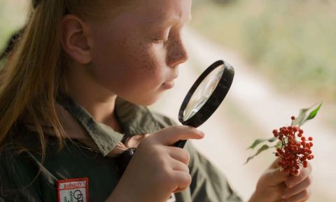 Mẹo nuôi dưỡng trí tò mò của trẻ