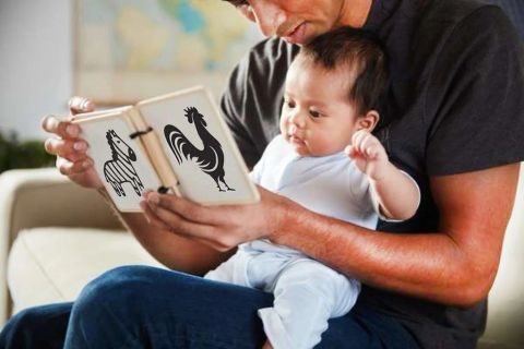 Phát Triển Khả Năng Ngôn Ngữ Cho Trẻ Qua Sách Tranh