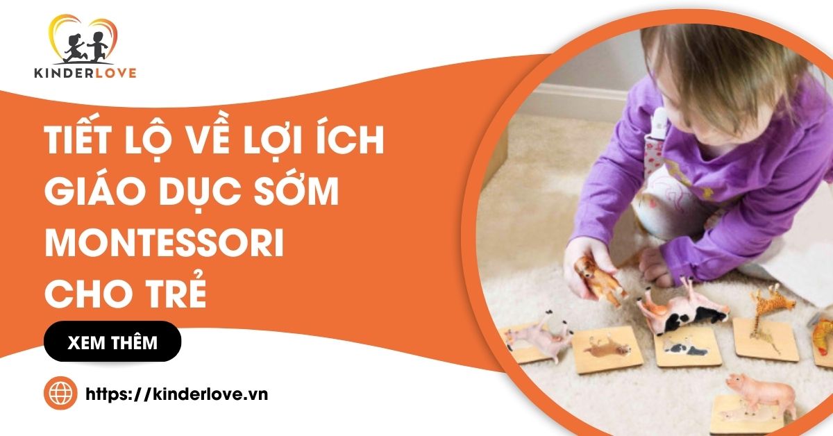Tiết Lộ Về Lợi Ích Giáo Dục Sớm Montessori Cho Trẻ Tiết Lộ Về Lợi Ích Giáo Dục Sớm Montessori Cho Trẻ