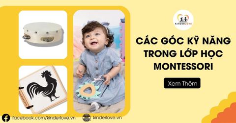 Tìm Hiểu Các Góc Kỹ Năng Trong Lớp Học Montessori
