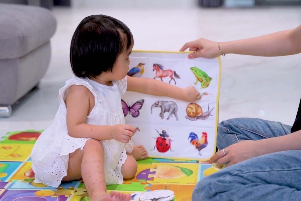Hình ảnh sản phẩm Đồ chơi giáo dục và Đồ chơi Montessori Cho thú vào túi trong Hộp đồ chơi Tập Trung của Kinderlove cho tháng thứ 19-20