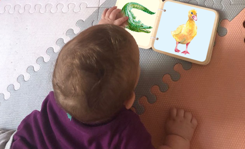 Đồ chơi giáo dục Montessori Sách gỗ màu
