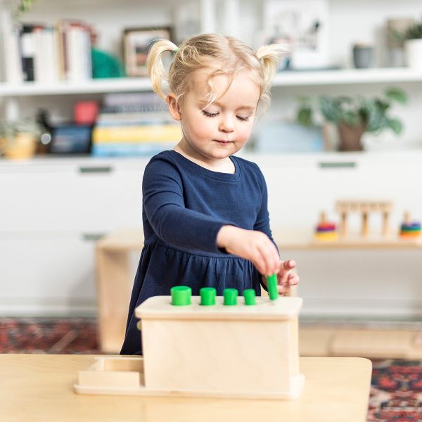 l9-cylinder-drop-montessori-toys-toddler_986e0fa093fd4ec485837fae8c8f41b7_grande