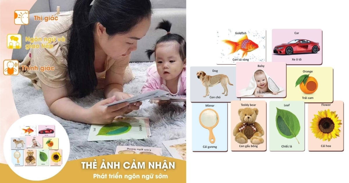 Hình ảnh sản phẩm đồ chơi Thẻ ảnh cảm nhận của Kinderlove