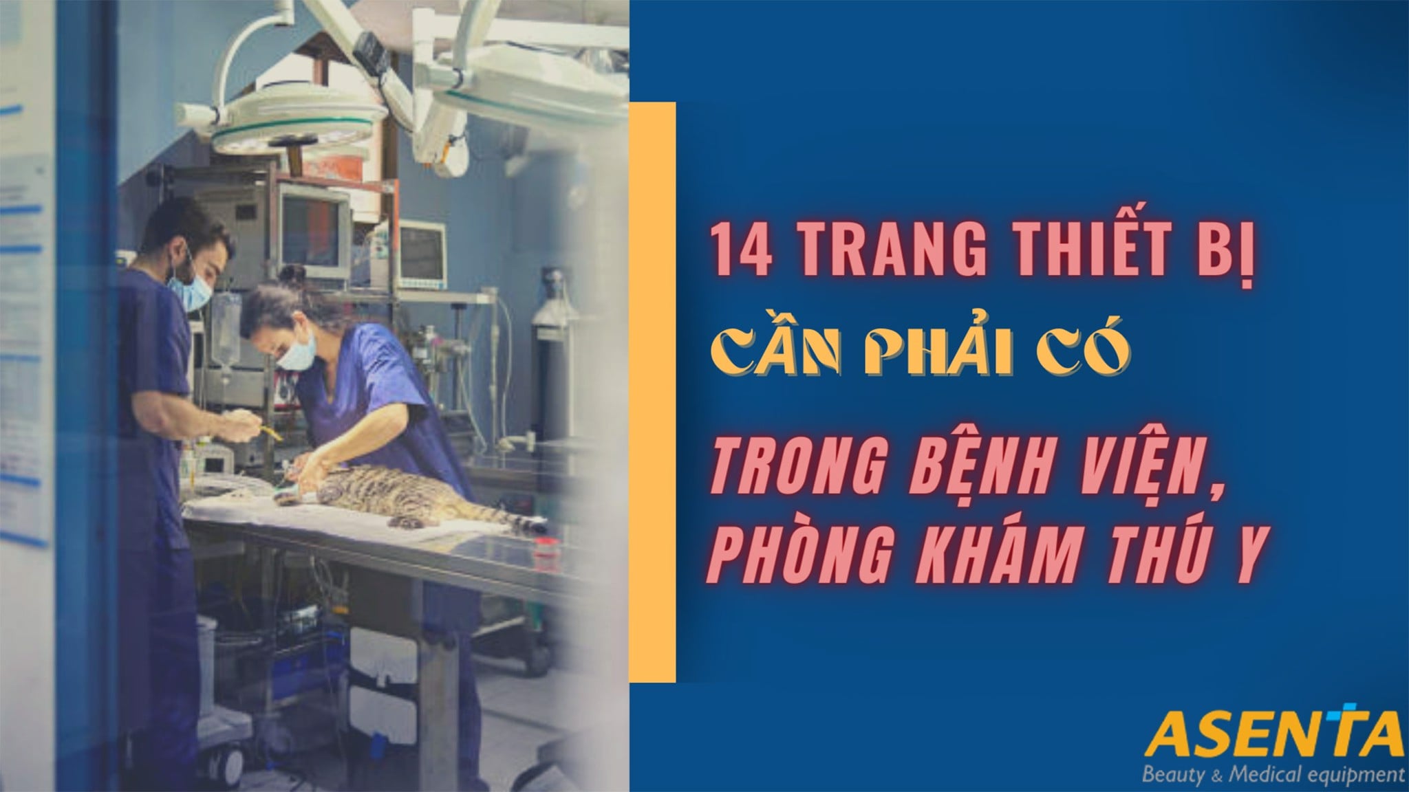 14 trang thiết bị cần phải có trong bệnh viện, phòng khám thú y