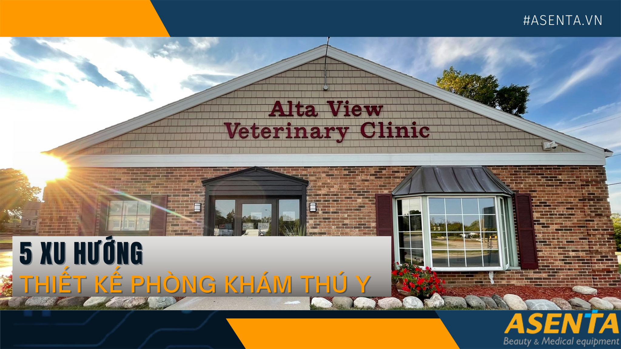 5 Xu hướng thiết kế phòng khám thú y 2023