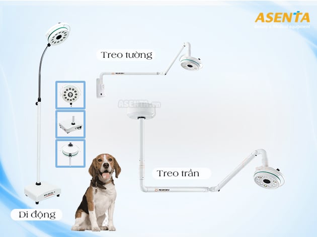 Đèn Phẫu Thuật Chuyên Dụng Cho Phòng Khám Thú Y