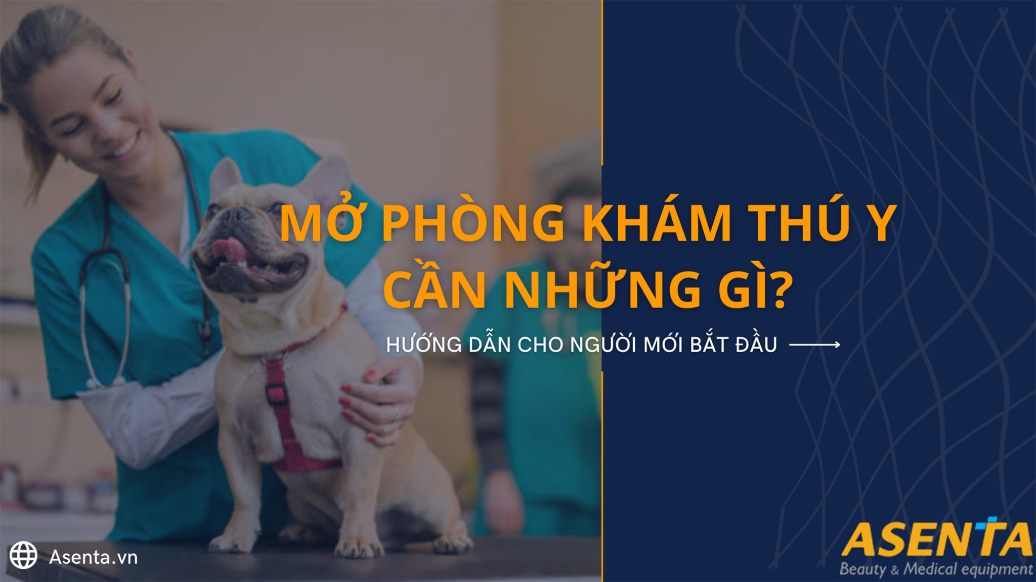 Mở phòng khám thú y cần những gì? Hướng dẫn cho người mới bắt đầu