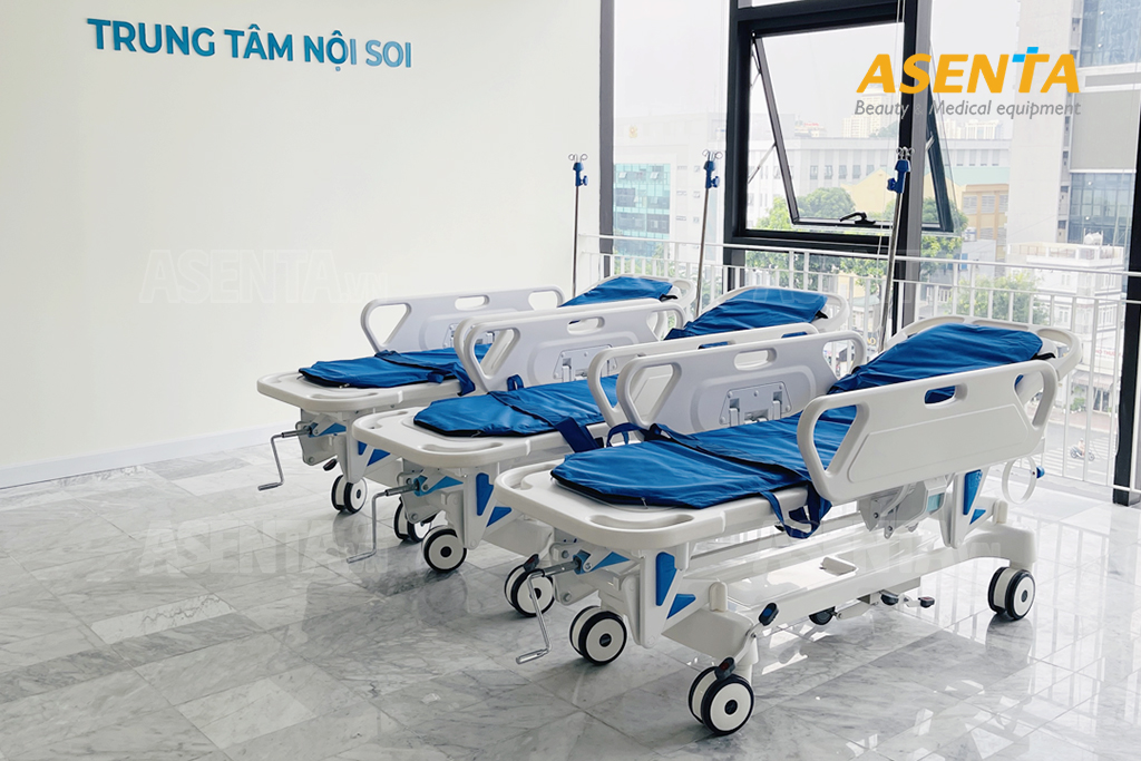 Nơi bán băng ca cứu thương ở TPHCM uy tín – Hướng dẫn chọn mua từ Asenta