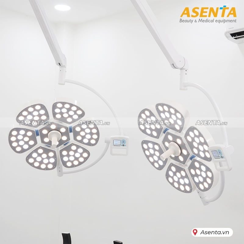 Đèn led phẫu treo trần Petal 6 cánh 2 nhánh