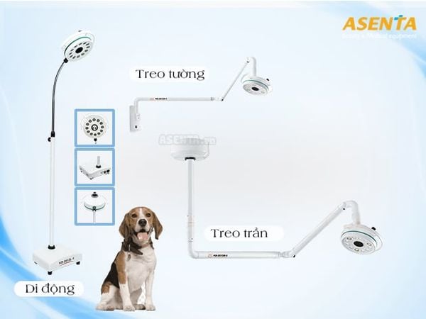 Các kiểu đèn dành cho phòng khám thú y