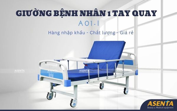 Giường bệnh nhân 1 tay quay A01-I | Nhập khẫu chính hãng