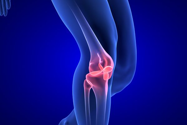 SỤN TRONG CƠ THỂ: VAI TRÒ VÀ CÁCH BẢO VỆ