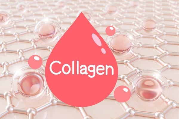 5 CÔNG DỤNG TUYỆT VỜI CỦA COLLAGEN TYPE II ĐỐI VỚI SỨC KHỎE