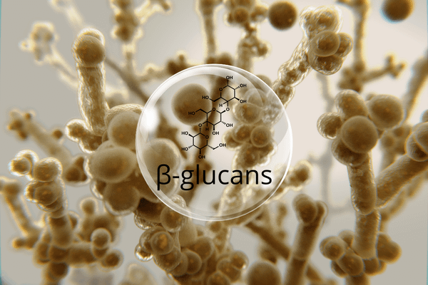 Beta Glucan Là Gì? Lợi Ích Của Beta Glucan Với Sức Khỏe