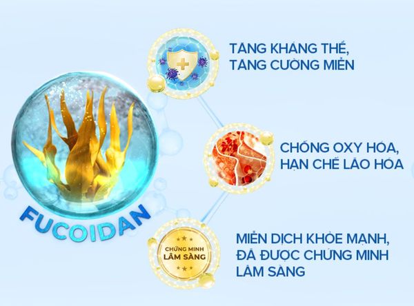 FUCOIDAN LÀ CHẤT GÌ? CÔNG DỤNG CỦA FUCOIDAN ĐỐI VỚI GAN