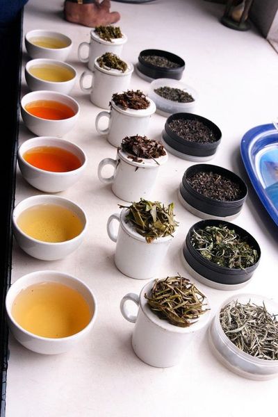GIỚI THIỆU VỀ 6 LOẠI TRÀ CHÍNH Có rất nhiều loại trà khác nhau trên thế giới, nhưng để dễ dàng phân loại, trà có thể được chia thành sáu loại chính như: trà đen, trà xanh, trà ô long, trà trắng, trà pu-erh và trà vàng.