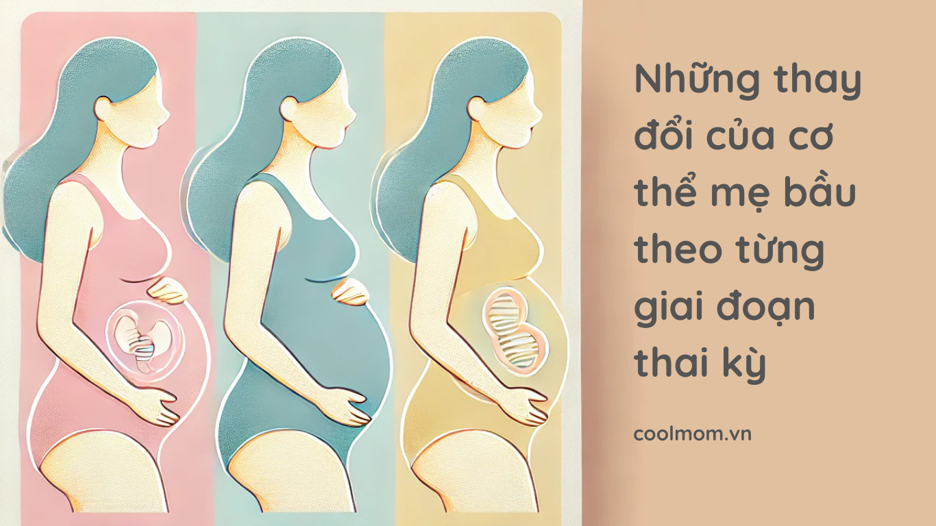 Những thay đổi của cơ thể mẹ bầu theo từng giai đoạn thai kỳ