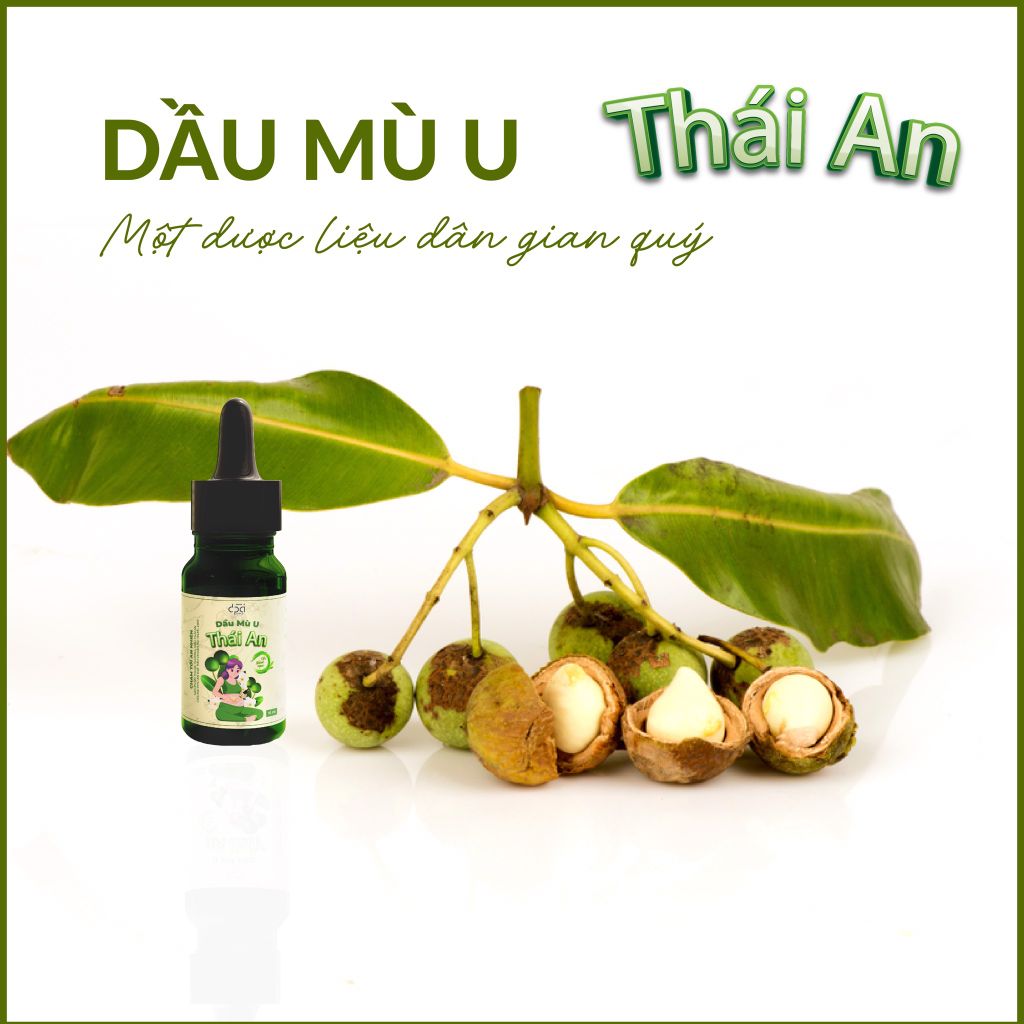 Dầu mù u - Một dược liệu dân gian quý