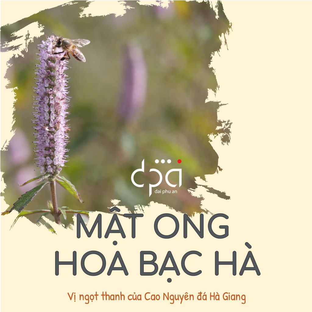 Mật Ong Hoa Bạc Hà - Đặc sản Hà Giang