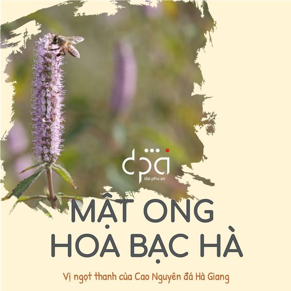 Mật Ong Hoa Bạc Hà - Đặc sản Hà Giang