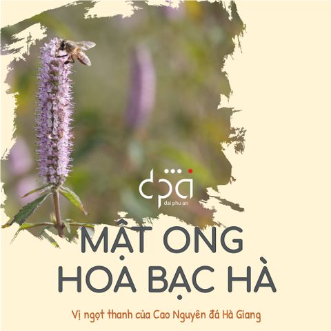 Mật Ong Hoa Bạc Hà - Đặc sản Hà Giang