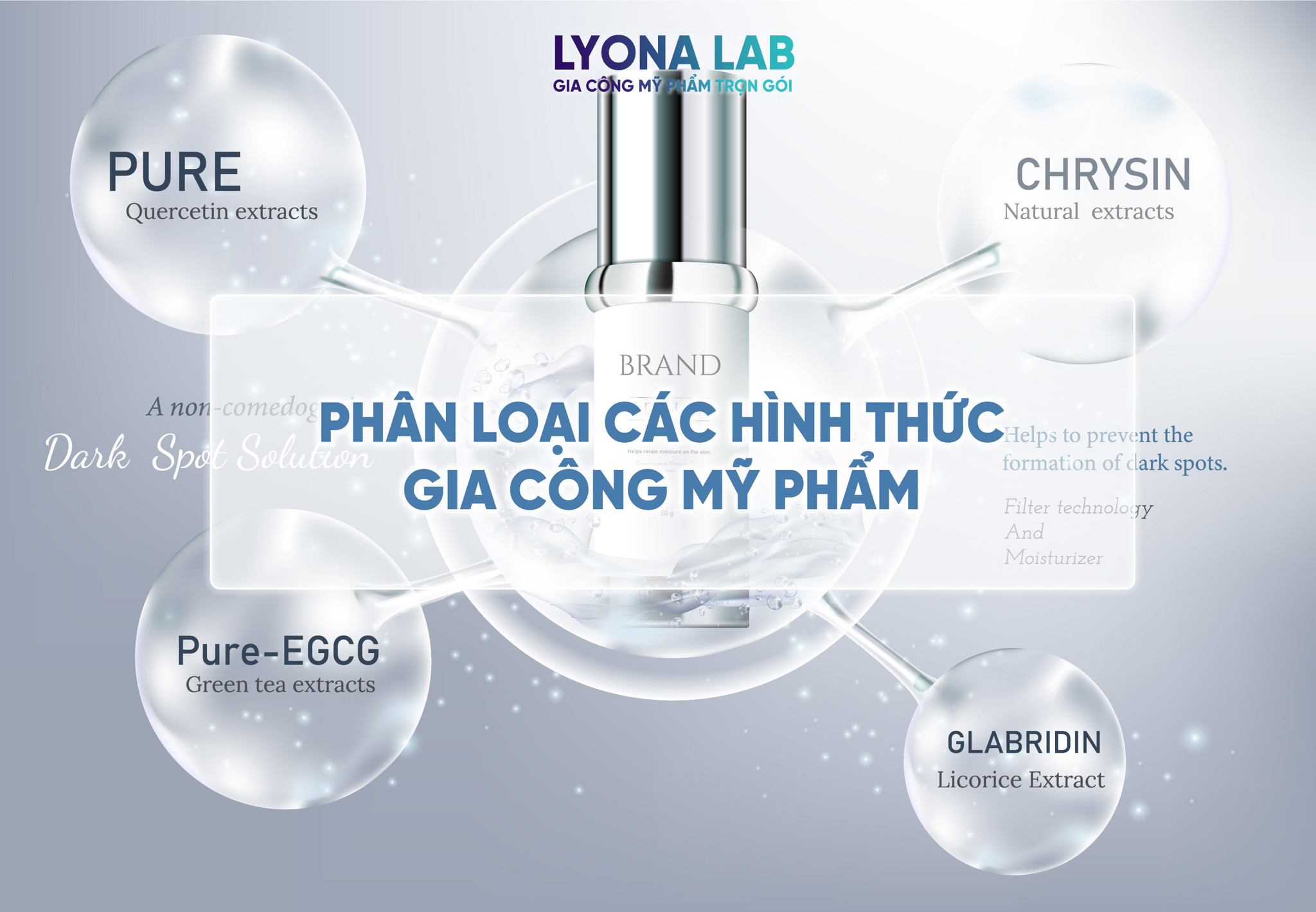 Phân loại các hình thức gia công mỹ phẩm – Lyona Lab - Nhà Máy Sản Xuất ...