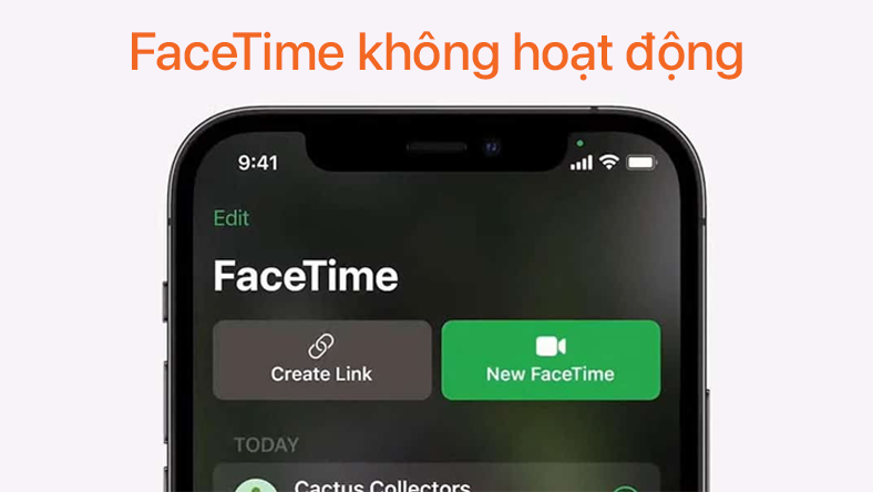 Cách Kích Hoạt Facetime cho iPhone nhanh chóng nếu bị lỗi