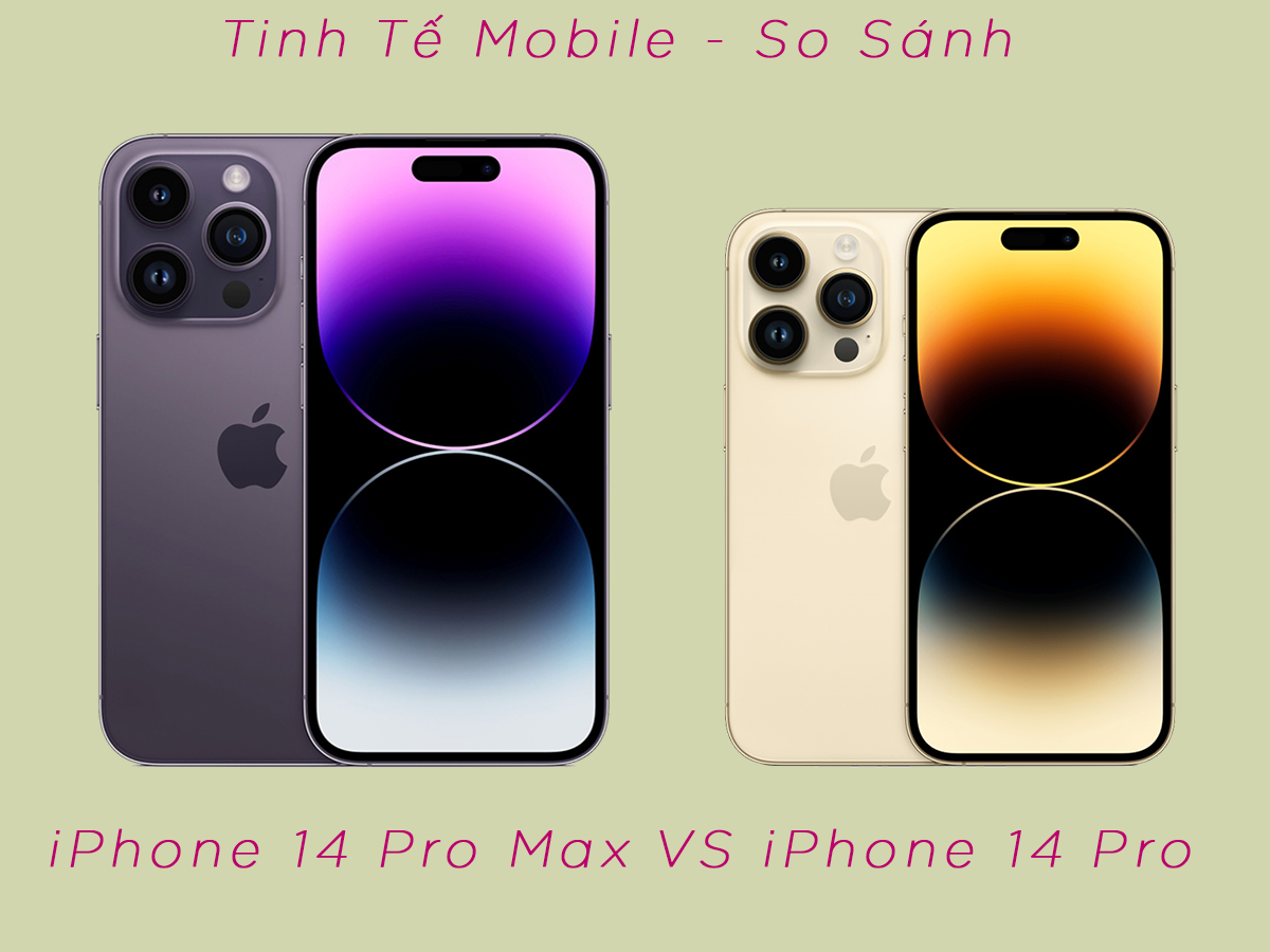 Nên mua iPhone 14 Pro Hay 14 Pro Max? Cùng iFan tìm hiểu