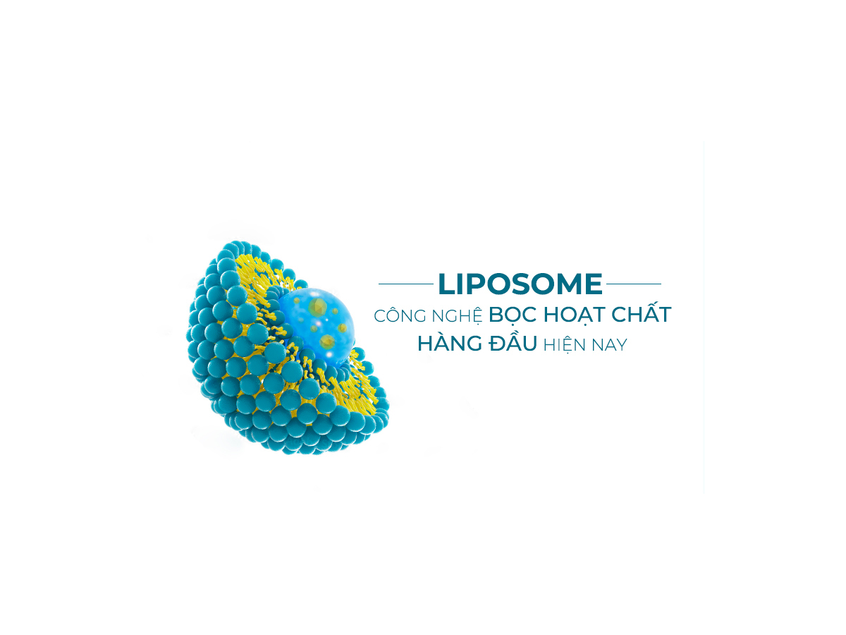 Liposome 
