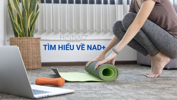 TÌM HIỂU VỀ NAD+, NAD+ LÀ GÌ?