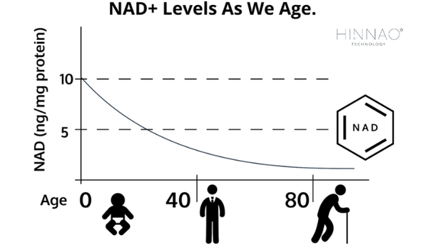 Có những nguyên nhân nào gây suy giảm NAD+?