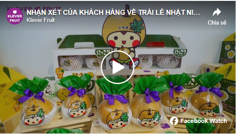 LẮNG NGHE NHẬN XÉT CỦA KHÁCH HÀNG VỀ TRÁI LÊ NHẬT NIKKORI