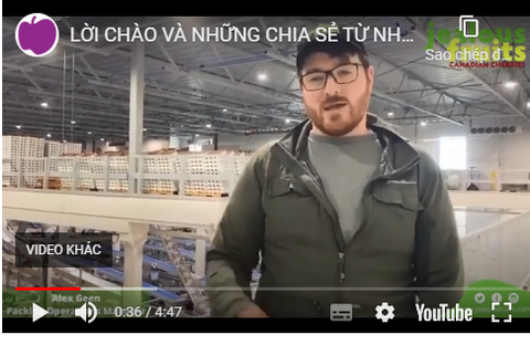 LỜI CHÀO VÀ NHỮNG CHIA SẺ TỪ NHÀ VƯỜN JEALOUS FRUIT TỚI NHỮNG KHÁCH HÀNG CỦA KLEVER FRUIT