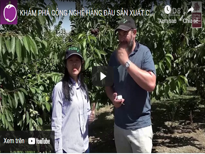 KLEVER FRUIT - SỐ ĐẶC BIỆT DỊP TẾT NGUYÊN ĐÁN